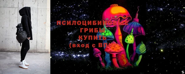 apvp Валуйки