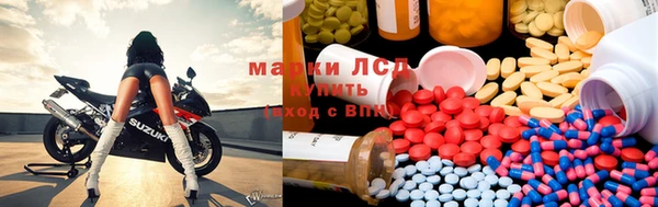 ALPHA PVP Новозыбков